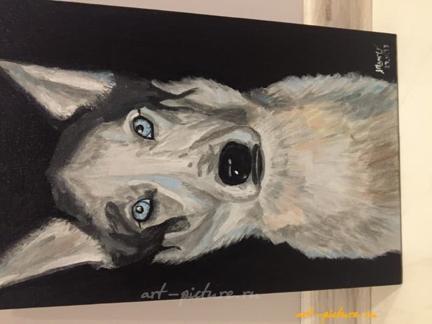 Хаски Акрил, холст 