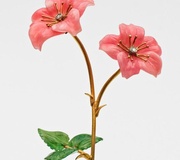 Маленькая декоративная ваза для цветов