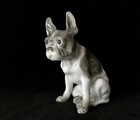 купить Cтатуэтка "Французский бульдог" Hutschenreuther Германия 1925-1929 год