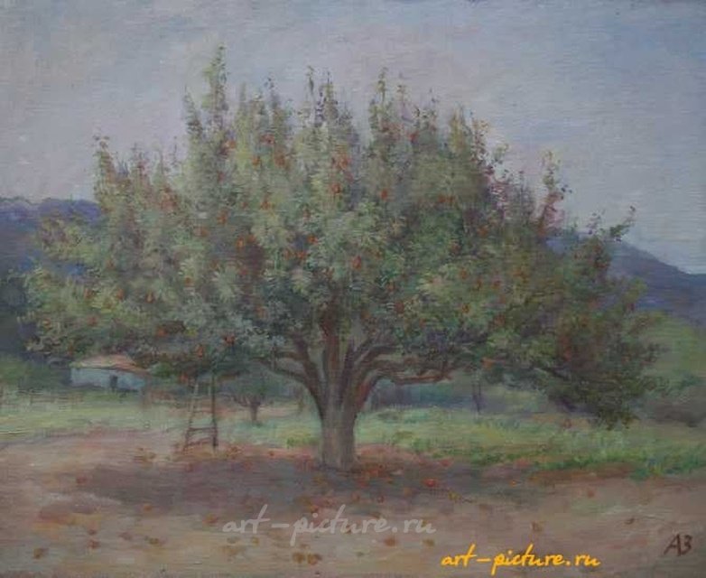 旧梨。帆布，油画。52 x 65 cm