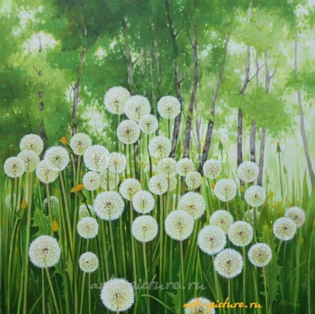 Одуванчики холст, масло 