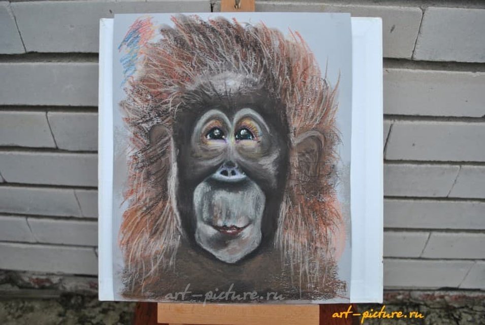 Год Обезьяны Пастель 