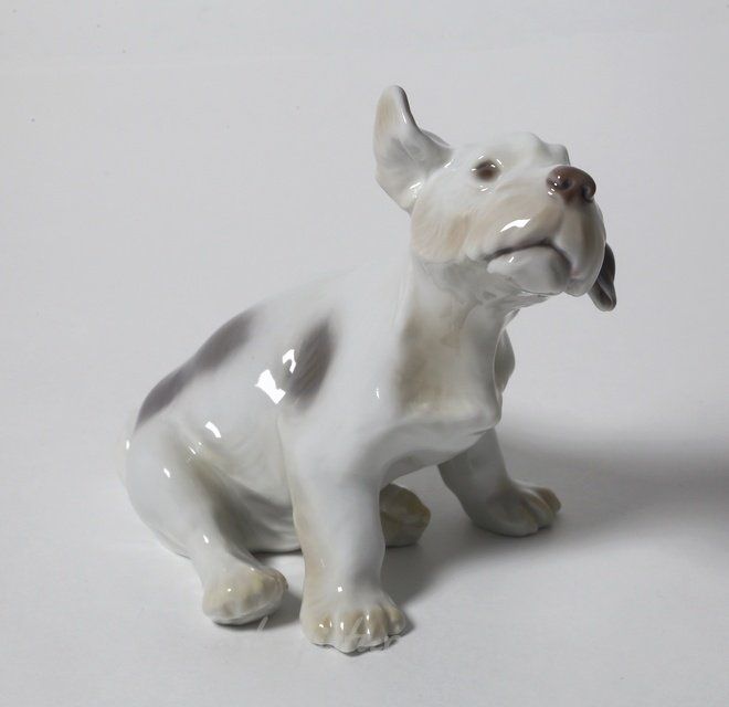 Щенок селинхем-терьера. Дания, г. Копенгаген, Bing & Grondahl