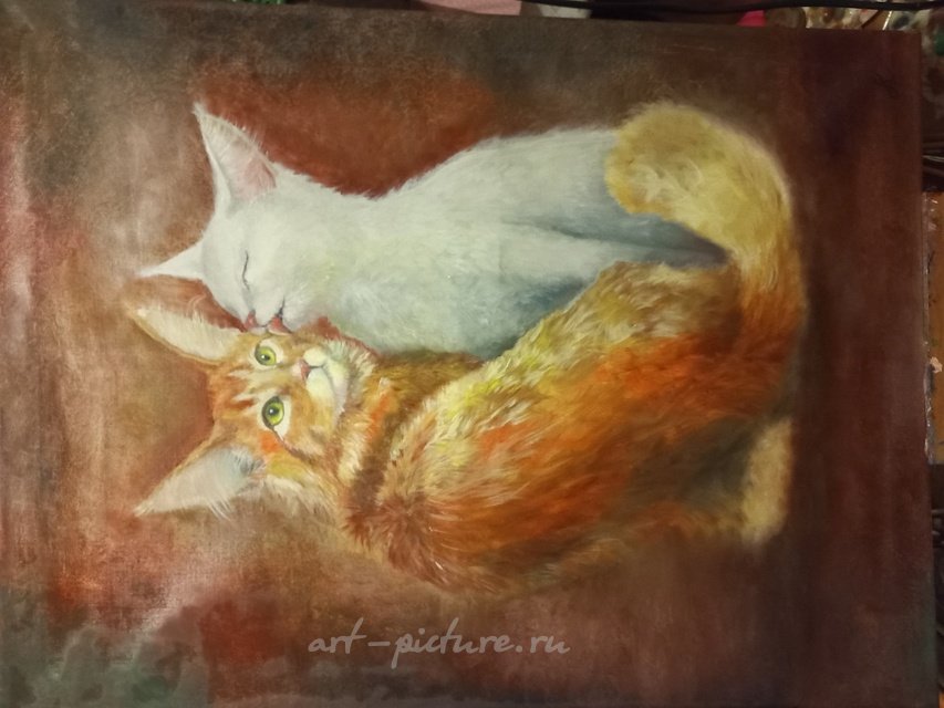 Любовь кошек