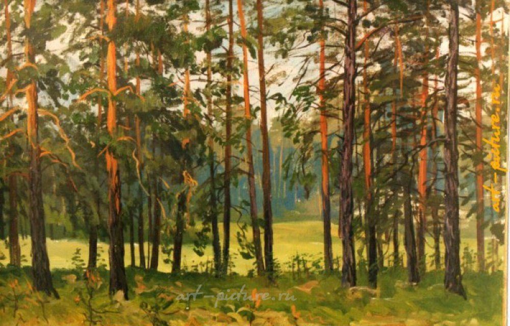 Корабельная роща. холст,масло 