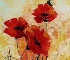 buy "Poppy oil, canvas"