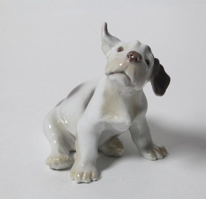 Щенок селинхем-терьера. Дания, г. Копенгаген, Bing & Grondahl