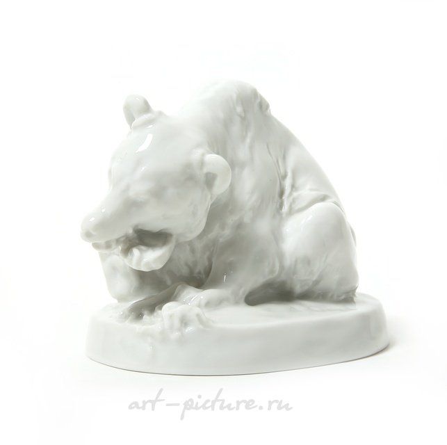 Белый медведь, Германия, Meissen.