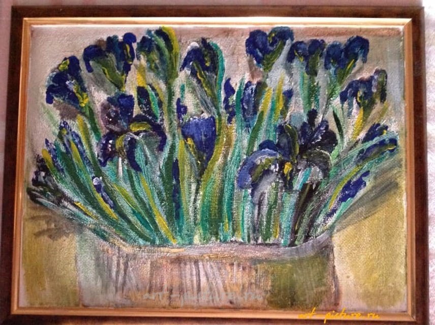 *Ирисы* масло,холст 