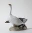Гуси. Дания, г. Копенгаген, Royal Copenhagen, 1898-1923