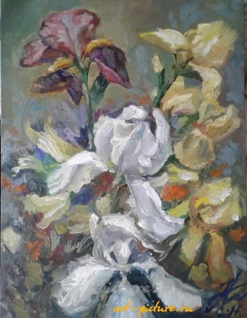 Ирисы холст на картоне масло 