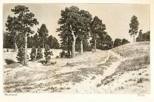 Офорт: история возникновения и разновидности