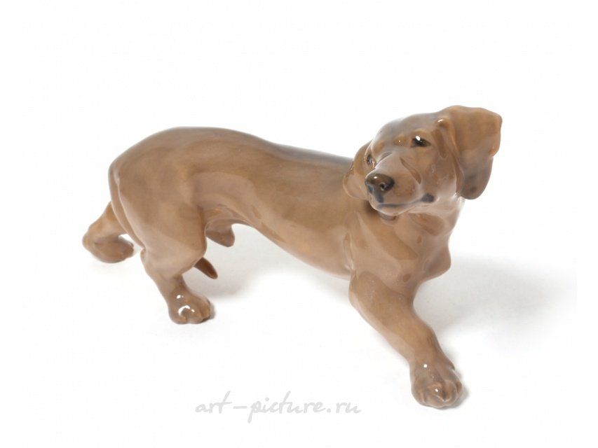 Фарфоровая статуэтка "Такса". Royal Copenhagen.