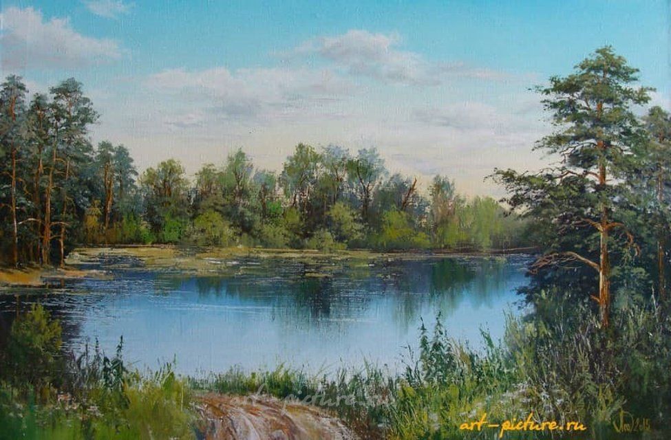 Летний пейзаж масло,холст