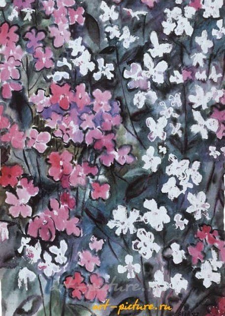 Яблоневый цвет