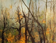 The stream in the spring forest.