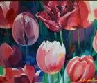 Тюльпаны масло, холст 