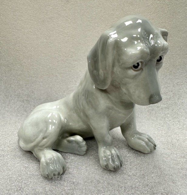 Грустная собака, HEUBACH, ГЕРМАНИЯ