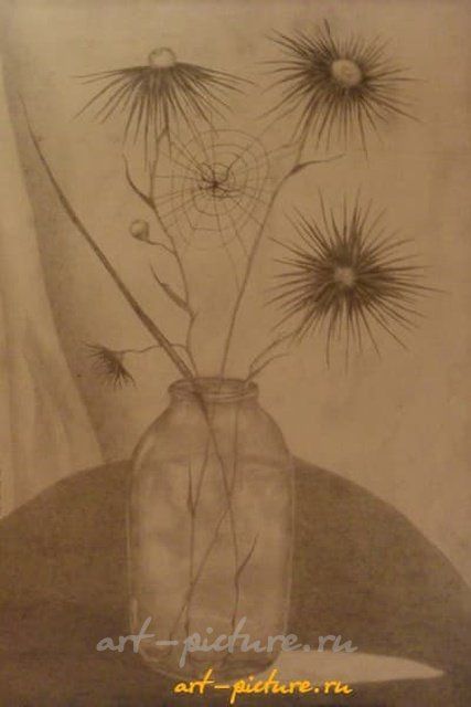 Цветы с паутинкой бумага,карандаш 