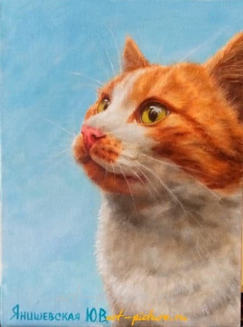 Рыжий масло, холст на картоне 