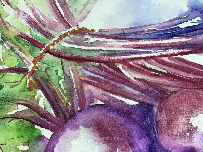 The translation of "Свекла" (which means "beet" in Russian) into simplified Chinese is "甜菜" (tiáncài).