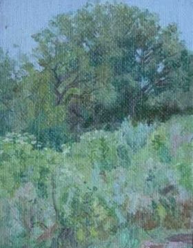 购买 夏季风景 №2