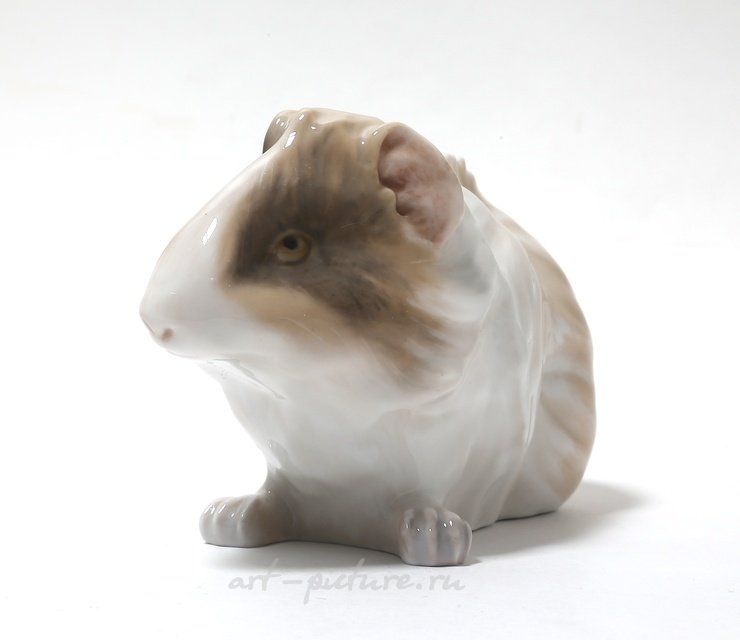 Морская свинка. Дания, г. Копенгаген, Royal Copenhagen, 1898-1923 гг.