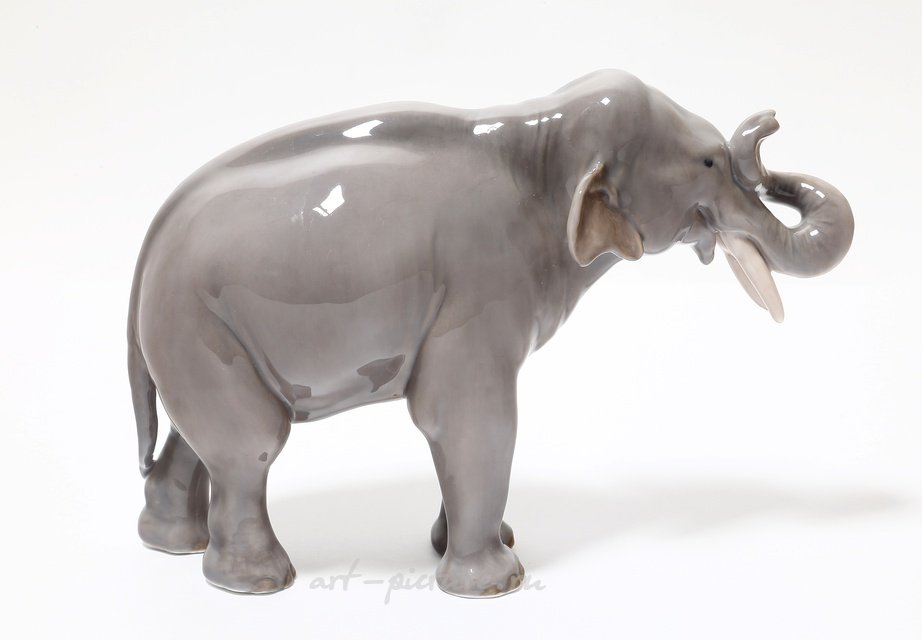 大象。丹麦，哥本哈根，皇家哥本哈根