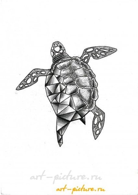 Черепаха графика 