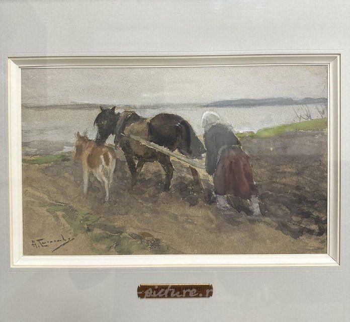 На пашне. Степанов Алексей Степанович