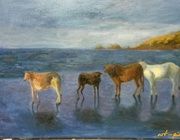 Гоанские коровы Масло, холст 