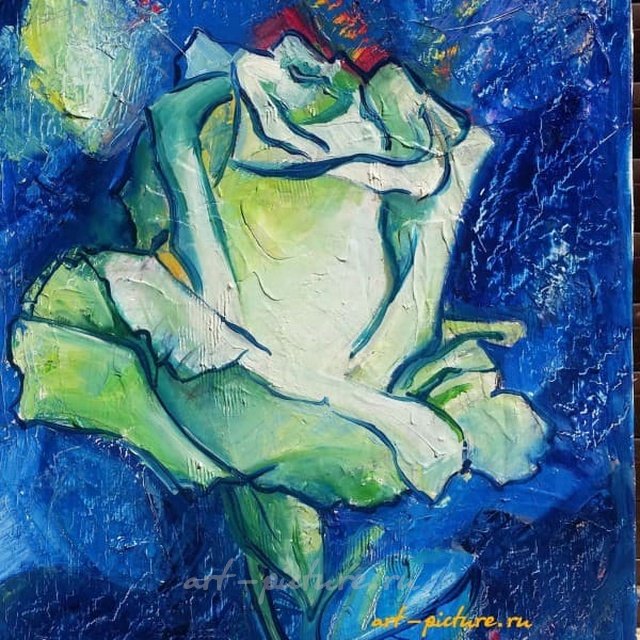 Белая Роза масло, холст 