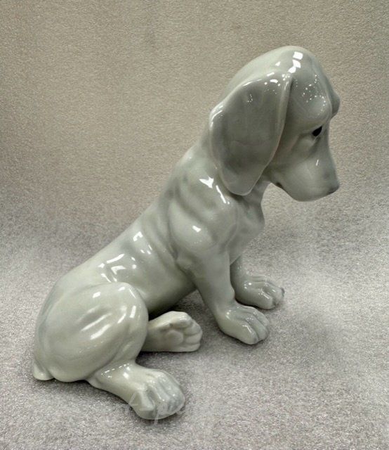 Грустная собака, HEUBACH, ГЕРМАНИЯ