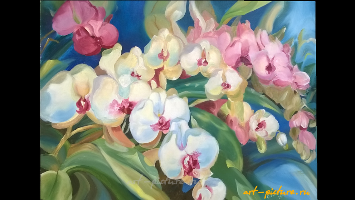 Орхидеи масло, холст 