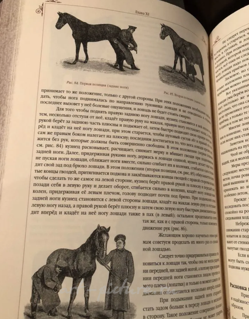Книга о лошади. Настольная книга для каждого коннозаводчика, коневода. Урусов С. П.