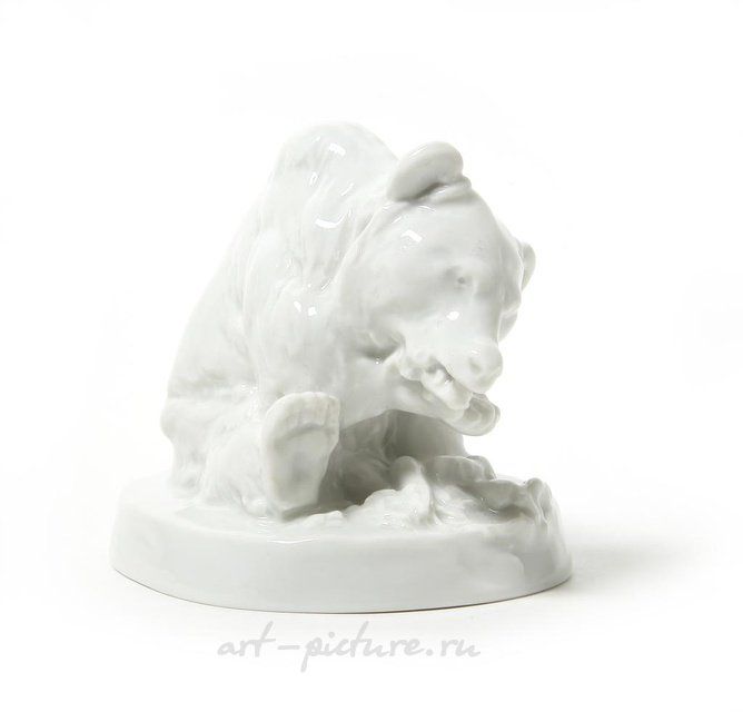 Белый медведь, Германия, Meissen.