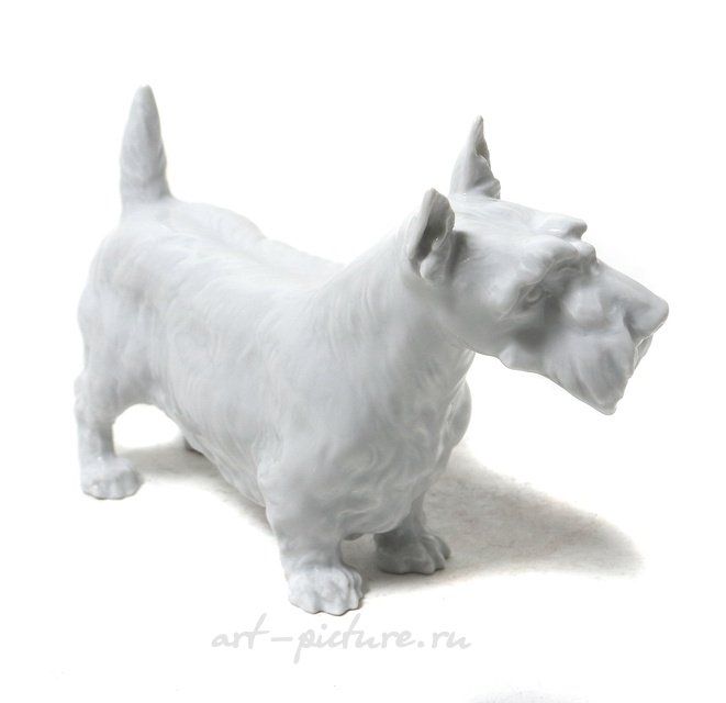 Фарфоровая фигура "Cкотч-терьер". Meissen