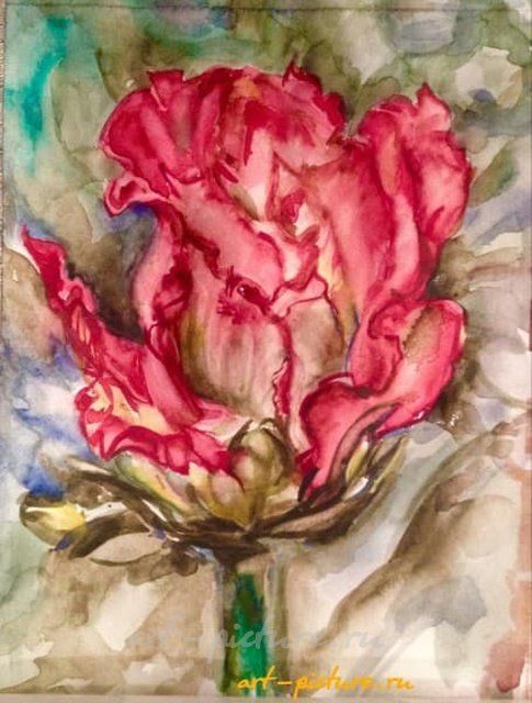 бутог розы бумага, акварель 