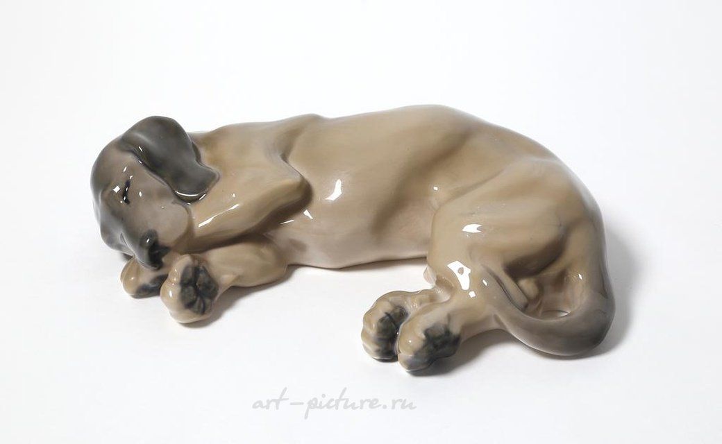 Такса. Дания, г. Копенгаген, Royal Copenhagen