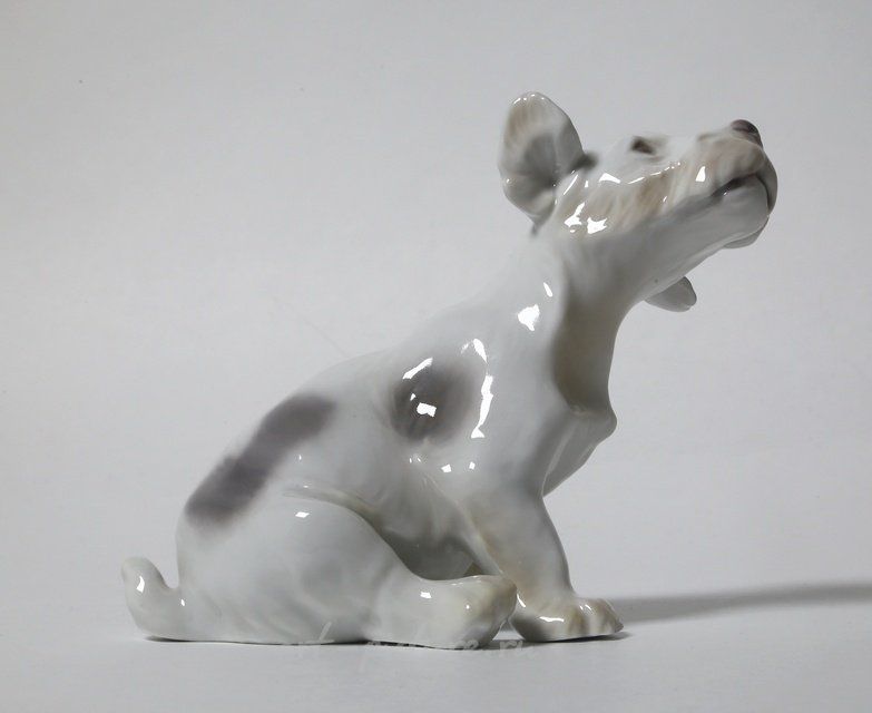 Щенок селинхем-терьера. Дания, г. Копенгаген, Bing & Grondahl