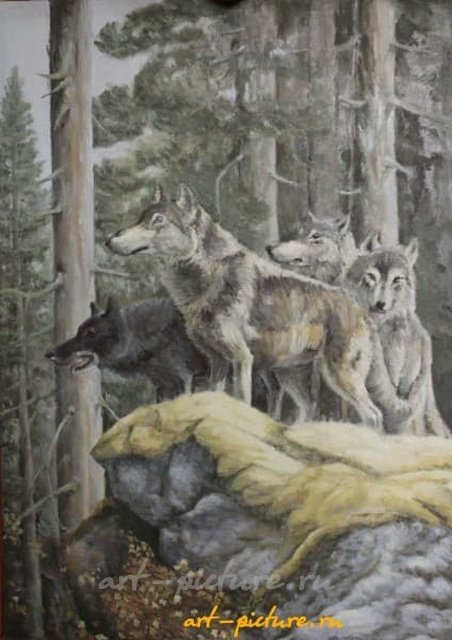 Волки масло, холст 