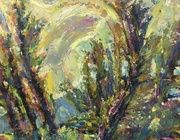 Старые тополя