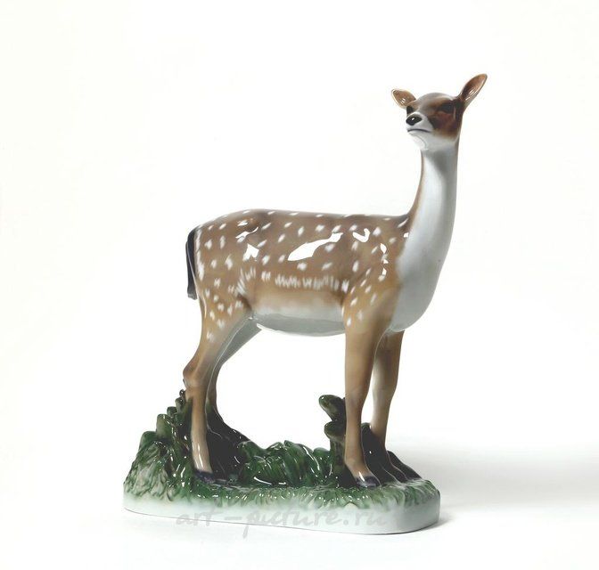 Молодая косуля. Дания, г. Копенгаген, Royal Copenhagen