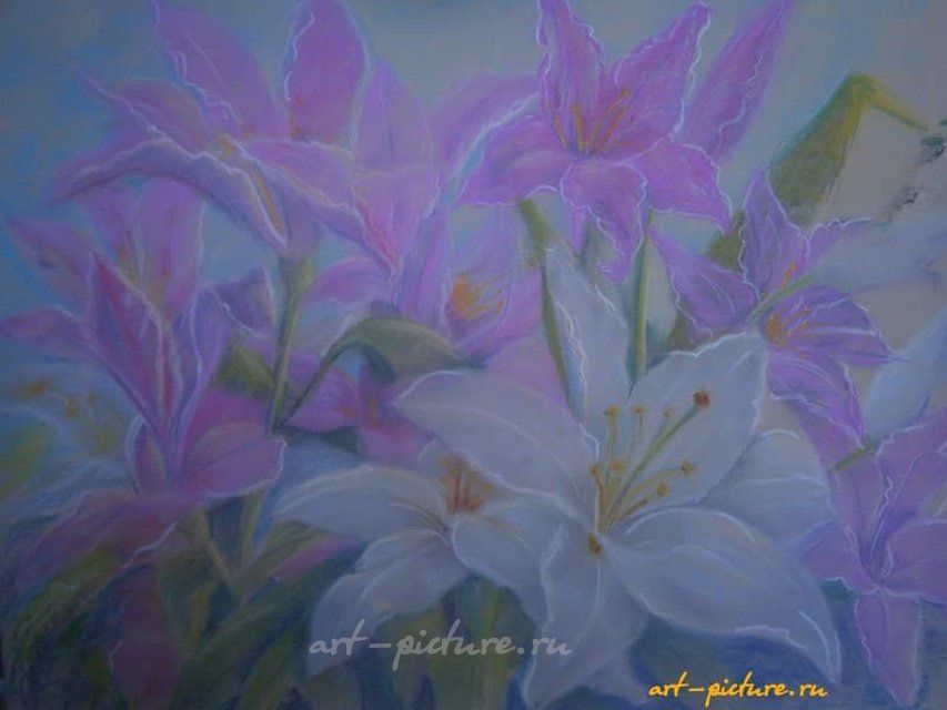 Лилии пастель,бумага 