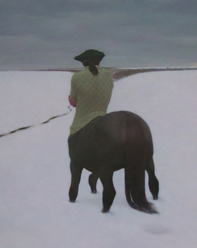 Сумерки. Полкан