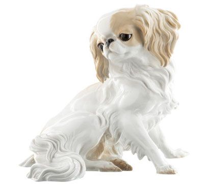 Японский хин, Теодор Кернер, [Нимфенбург, 1912]